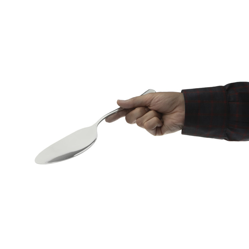 کفگیرکوچک صنایع استیل ایران مدل مونزا کد 101