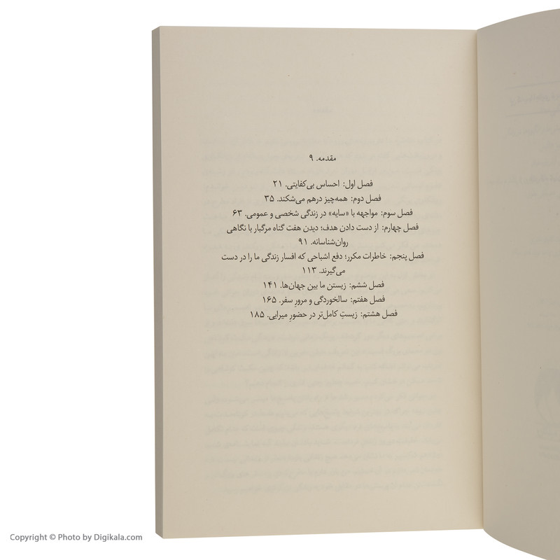 کتاب زندگی معنا اثر جیمز هالیس نشر میلکان کتاب زندگی معنا اثر جیمز هالیس نشر میلکان