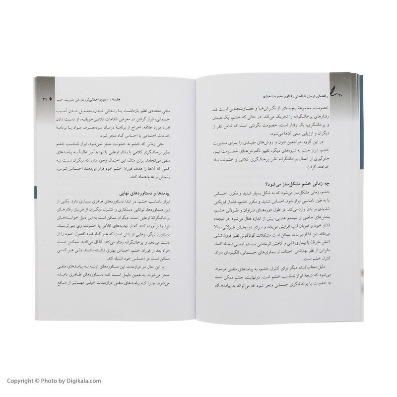 کتاب مدیریت خشم ویژه متخصصین اثر پاتریک ام. ریل کتاب مدیریت خشم ویژه متخصصین اثر پاتریک ام. ریل