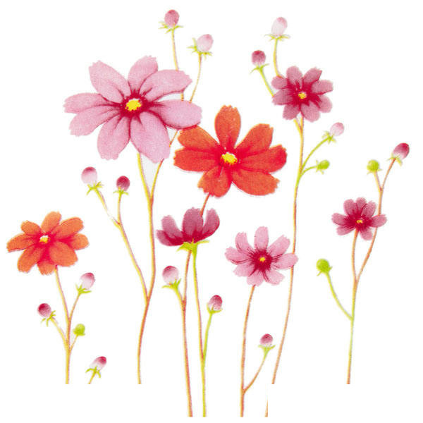 بشقاب غذاخوری لومینارک مدل کانتری فلاورز بسته 6 عددی بشقاب غذاخوری لومینارک مدل کانتری فلاورز بسته 6 عددی