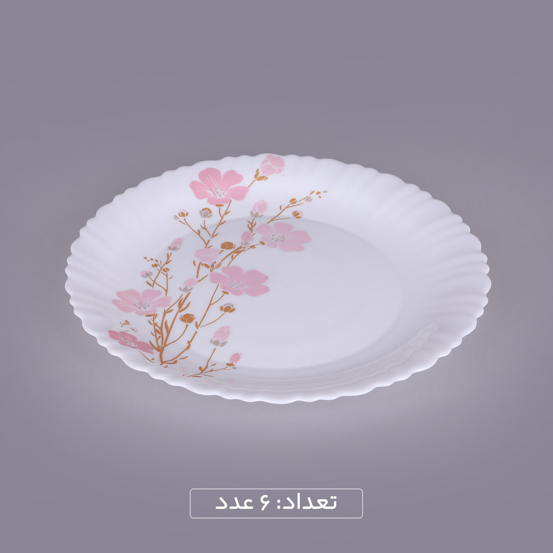 سرویس غذاخوری 25 پارچه 6 نفره گلدن اوپال مدل قالب کنگره طرح صوفیا سرویس غذاخوری 25 پارچه 6 نفره گلدن اوپال مدل قالب کنگره طرح صوفیا