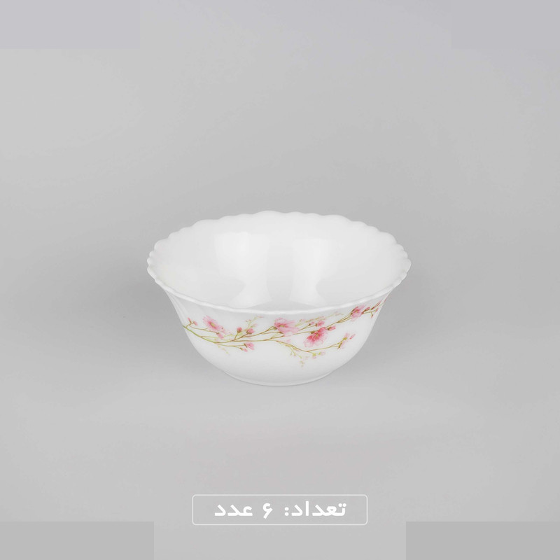 سرویس غذاخوری 25 پارچه 6 نفره گلدن اوپال مدل شهرزاد ژانتی درجه 3 سرویس غذاخوری 25 پارچه 6 نفره گلدن اوپال مدل شهرزاد ژانتی درجه 3