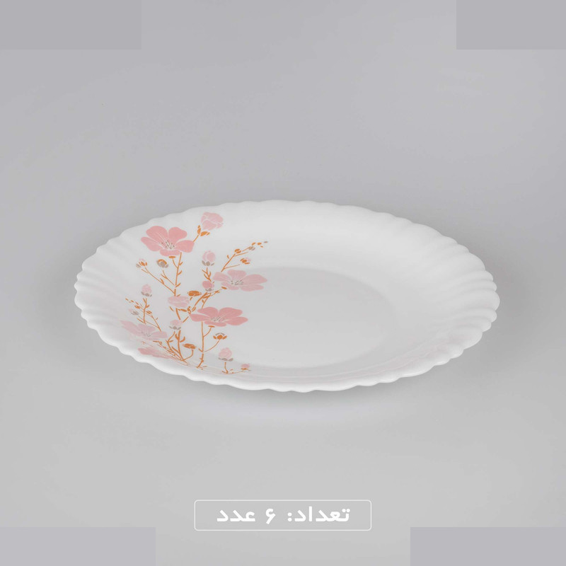 سرویس غذاخوری 25 پارچه 6 نفره گلدن اوپال مدل شهرزاد ژانتی درجه 3 سرویس غذاخوری 25 پارچه 6 نفره گلدن اوپال مدل شهرزاد ژانتی درجه 3