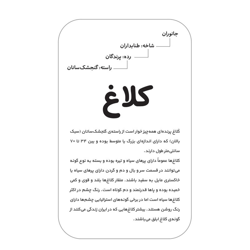 فلش کارت آشنایی با پرندگان انتشارات اندیشه کهن فلش کارت آشنایی با پرندگان انتشارات اندیشه کهن