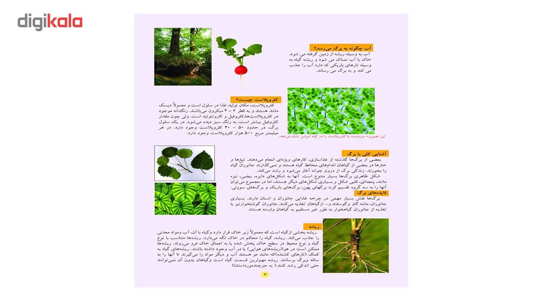 کتاب گیاهان اثر علی ذوالفقاری