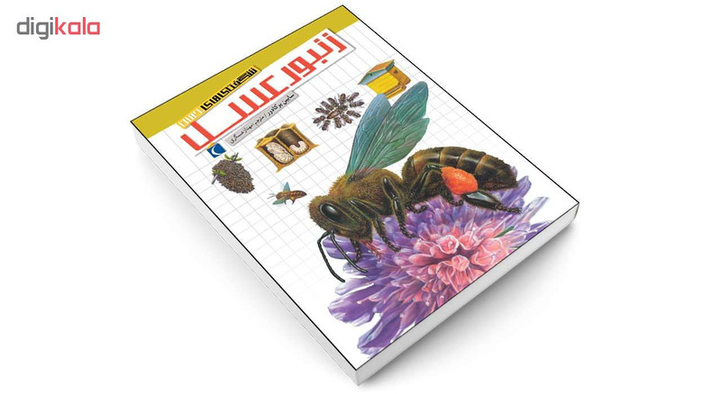 کتاب شگفتی های جهان زنبور عسل اثر سابین بوکادور انتشارات محراب قلم کتاب شگفتی های جهان زنبور عسل اثر سابین بوکادور انتشارات محراب قلم