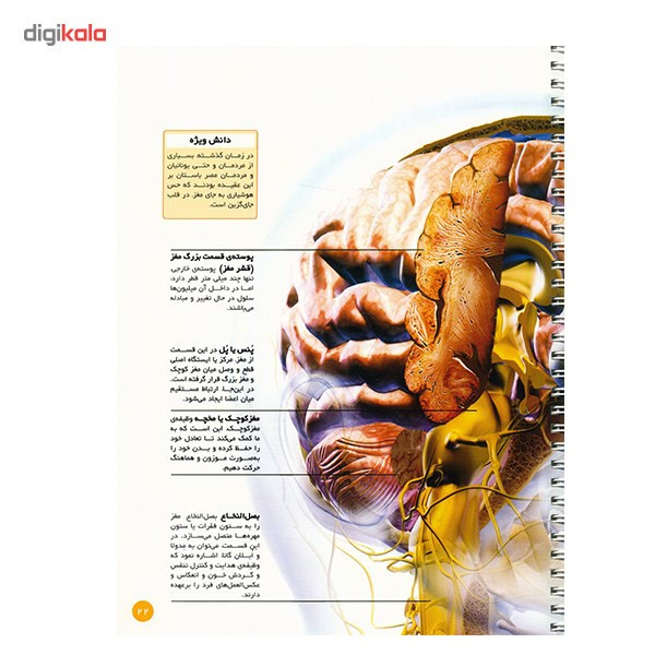 کتاب اطلس بدن انسان اثر جان استرادلینگ کتاب اطلس بدن انسان اثر جان استرادلینگ