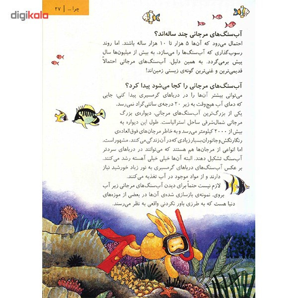 کتاب فلیکس در سرزمین پرسش ها اثر آنت لنگن کتاب فلیکس در سرزمین پرسش ها اثر آنت لنگن