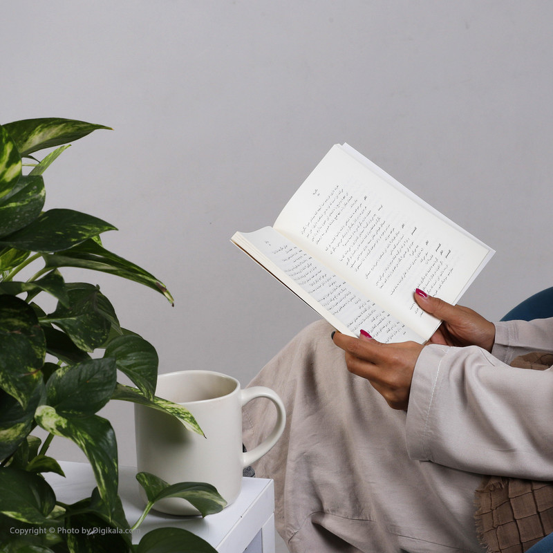 کتاب مگس ها اثر ژان پل سارتر نشر ثالث کتاب مگس ها اثر ژان پل سارتر نشر ثالث