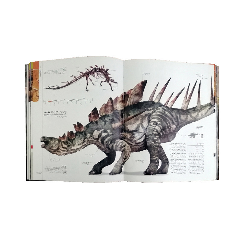 کتاب دایرة المعارف مصور دایناسورها و اسرار ماقبل تاریخ اثر جمعی از نویسندگان نشر سایان