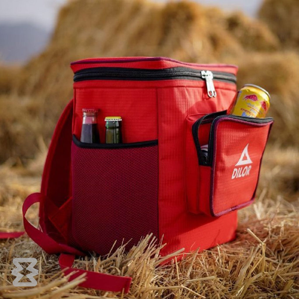 کول باکس دیلور مدل CHILL PACK