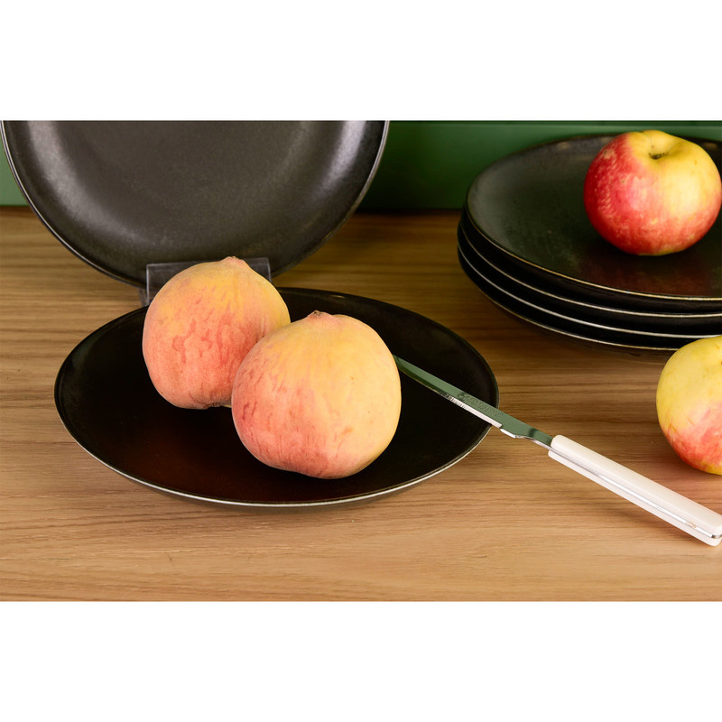 بشقاب بی وی کی مدل OLEN کد 455408 مجموعه 6 عددی