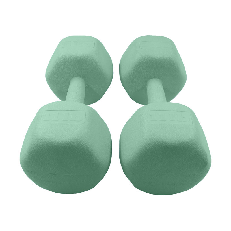 دمبل رادیس فیت مدل RPHF-5000-1625 وزن 5 کیلوگرم بسته بندی دو عددی