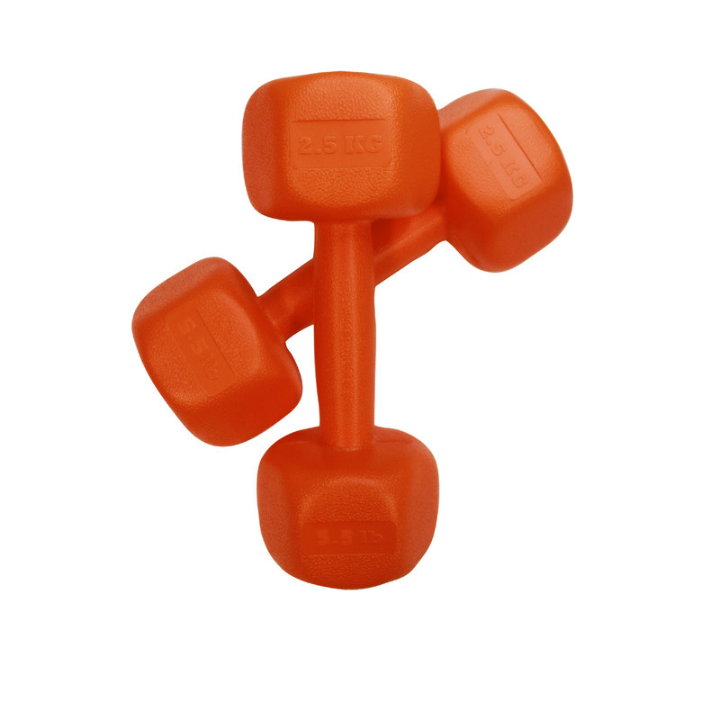 دمبل رادیس فیت مدل RPHF-2500 وزن 2.5 کیلوگرم بسته دو عددی