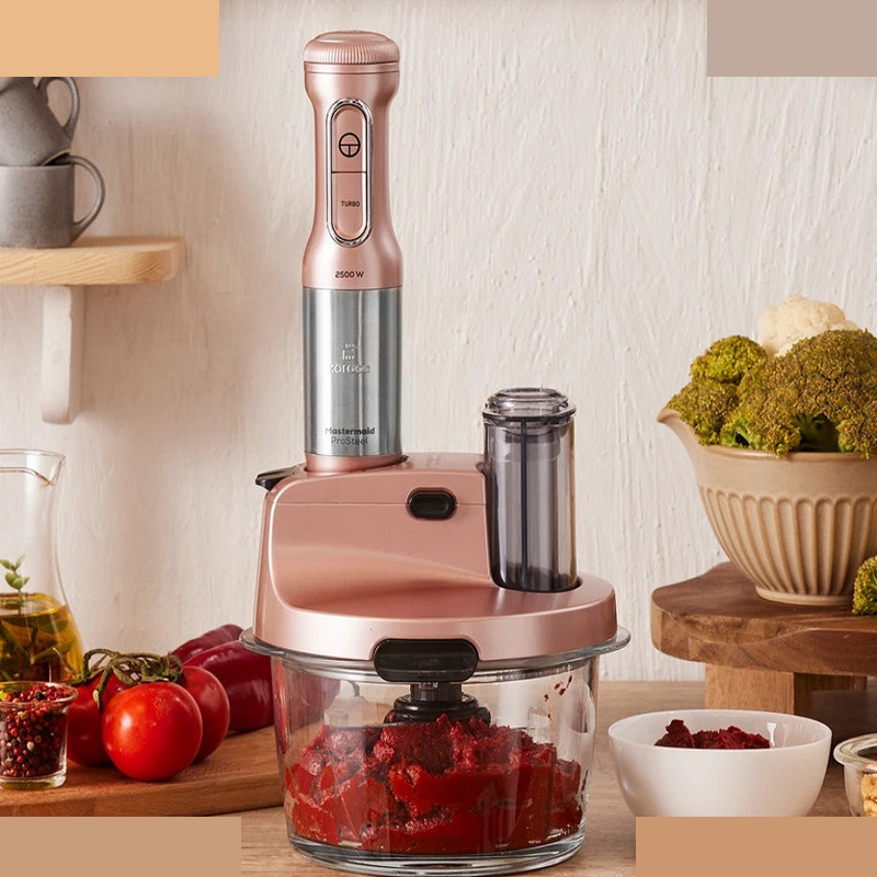 غذاساز کاراجا مدل Mastermaid Prosteel Cam غذاساز کاراجا مدل Mastermaid Prosteel Cam