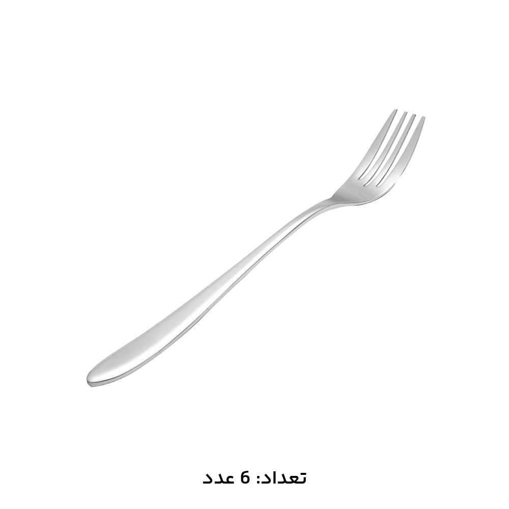 قاشق و چنگال ام جی اس 12 عددی کد DF-050