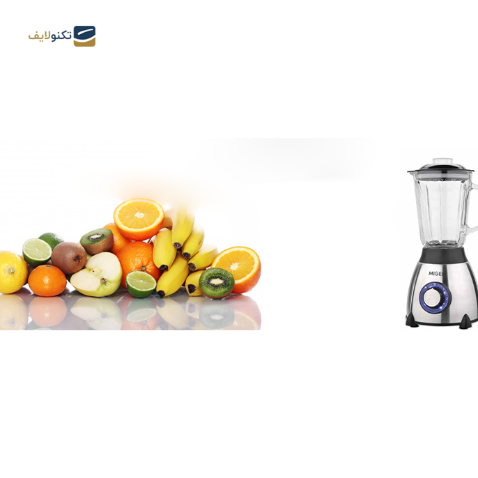 gallery- مخلوط کن میگل مدل gbl-800-gallery-3-TLP-5390_ace28cbd-552d-4e03-ae1a-16f9c5efd61d.png