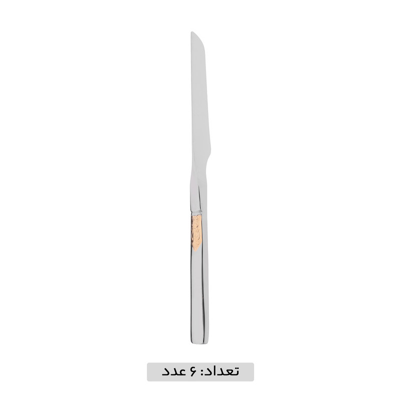 سرویس قاشق و چنگال 39 پارچه جی فی نی مدل NO 3 سرویس قاشق و چنگال 39 پارچه جی فی نی مدل NO 3