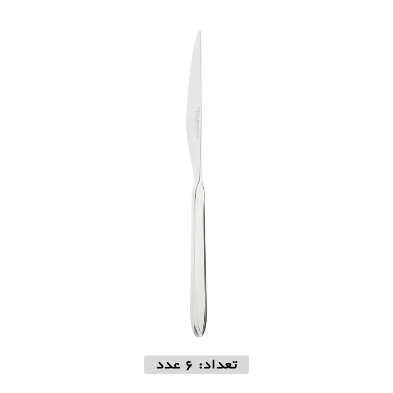 سرویس قاشق و چنگال 119 پارچه نایس بیوتی مدل 121M