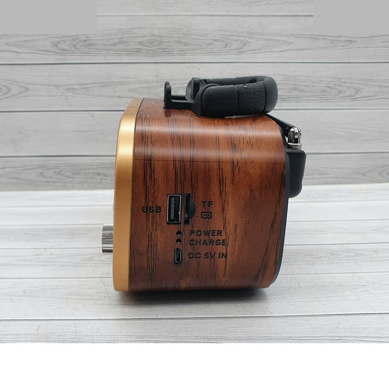 رادیو گولون مدل RX-BT618