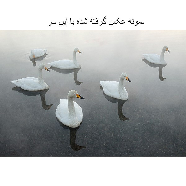 لنز کانن EF 24-70mm f/2.8L II USM لنز کانن EF 24-70mm f/2.8L II USM