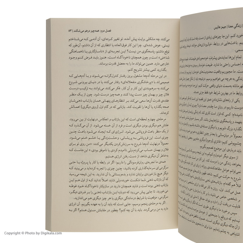 کتاب زندگی معنا اثر جیمز هالیس نشر میلکان کتاب زندگی معنا اثر جیمز هالیس نشر میلکان
