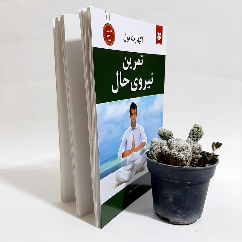 کتاب تمرین نیروی حال اثر اکهارت تول انتشارات نیک فرجام کتاب تمرین نیروی حال اثر اکهارت تول انتشارات نیک فرجام