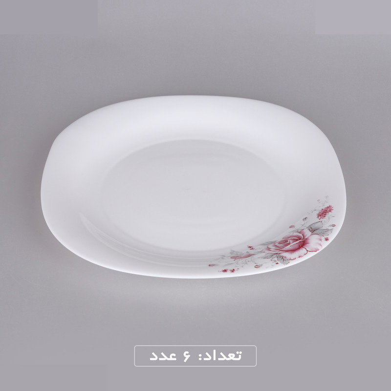سرویس غذاخوری 25 پارچه گلدن اوپال مدل گلوریا کد Carine سرویس غذاخوری 25 پارچه گلدن اوپال مدل گلوریا کد Carine