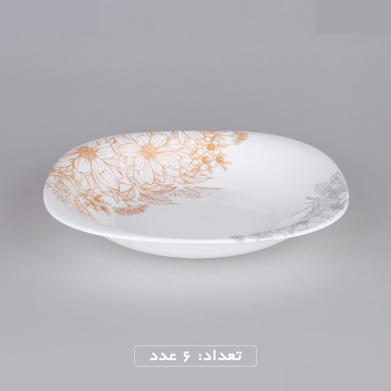 سرویس غذاخوری 25 پارچه گلدن اوپال مدل لیلیان کد Carine سرویس غذاخوری 25 پارچه گلدن اوپال مدل لیلیان کد Carine