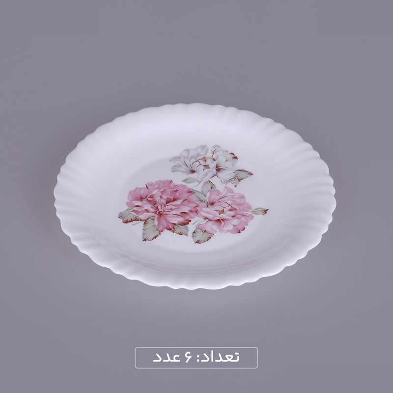 سرویس غذاخوری 25 پارچه 6 نفره گلدن اوپال مدل قالب کنگره طرح سارا سرویس غذاخوری 25 پارچه 6 نفره گلدن اوپال مدل قالب کنگره طرح سارا