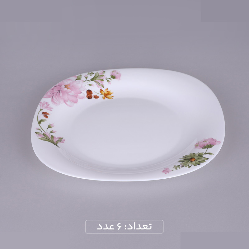 سرویس غذاخوری 25 پارچه 6 نفره گلدن اوپال مدل قالب کارین طرح نسترن سرویس غذاخوری 25 پارچه 6 نفره گلدن اوپال مدل قالب کارین طرح نسترن