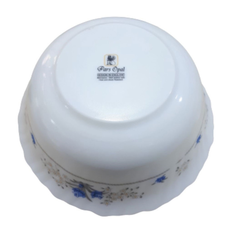 کاسه سالاد پارس اپال مدل 120 درجه یک بسته 2 عددی