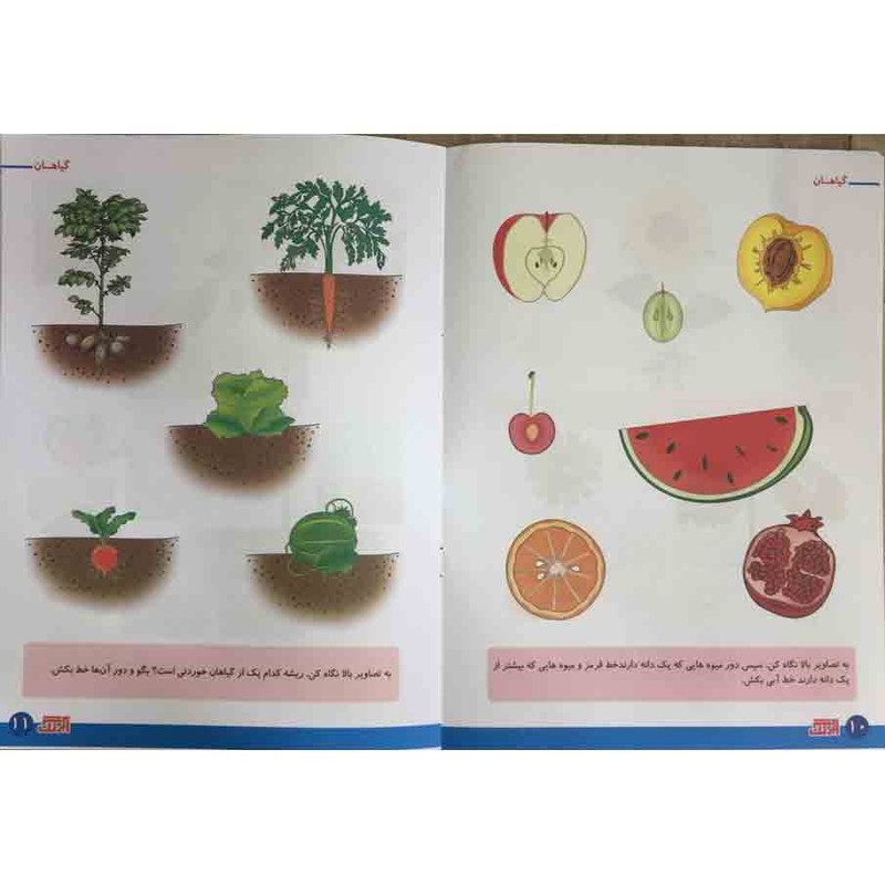 کتاب علوم 3 گیاهان برای کودکان 4 تا 6 سال اثر رویا جوانی انتشارات آبرنگ کتاب علوم 3 گیاهان برای کودکان 4 تا 6 سال اثر رویا جوانی انتشارات آبرنگ