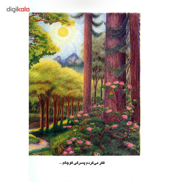 کتاب من در هر آنچه می بینم هستم اثر چارا ام. کرتیس