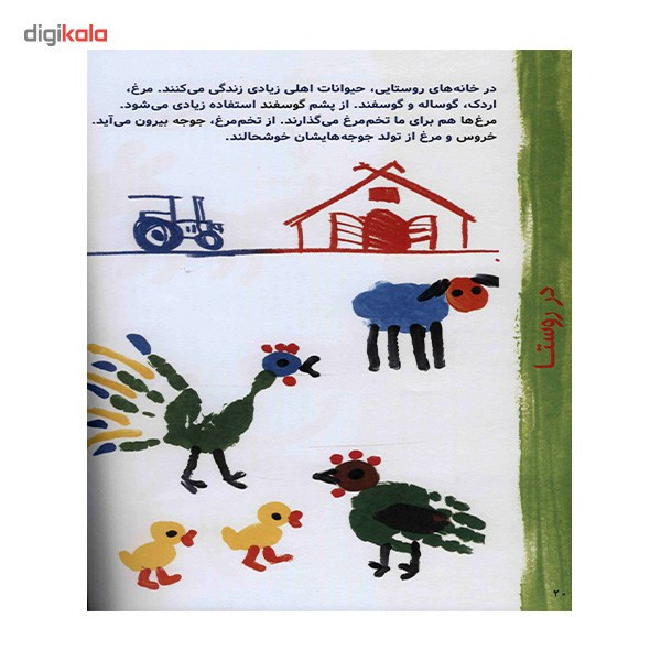 کتاب بازی با رنگ اثر نوربرت پائوتنر کتاب بازی با رنگ اثر نوربرت پائوتنر