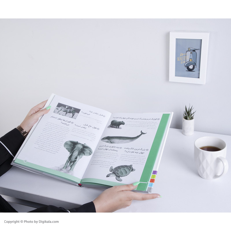 کتاب 365 پرسش و پاسخ علمی ترجمه فرزانه کریمی انتشارات قدیانی کتاب 365 پرسش و پاسخ علمی ترجمه فرزانه کریمی انتشارات قدیانی