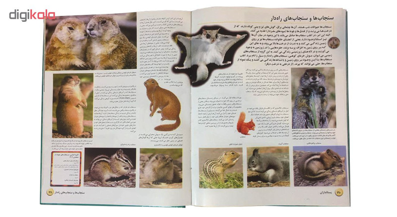 کتاب دایره المعارف مصور حیات وحش اثر مارتینو الترز انتشارات پیام محراب کتاب دایره المعارف مصور حیات وحش اثر مارتینو الترز انتشارات پیام محراب