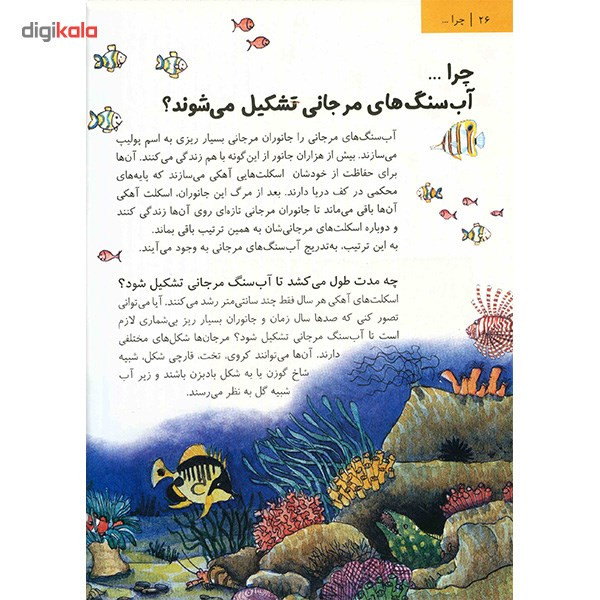 کتاب فلیکس در سرزمین پرسش ها اثر آنت لنگن کتاب فلیکس در سرزمین پرسش ها اثر آنت لنگن