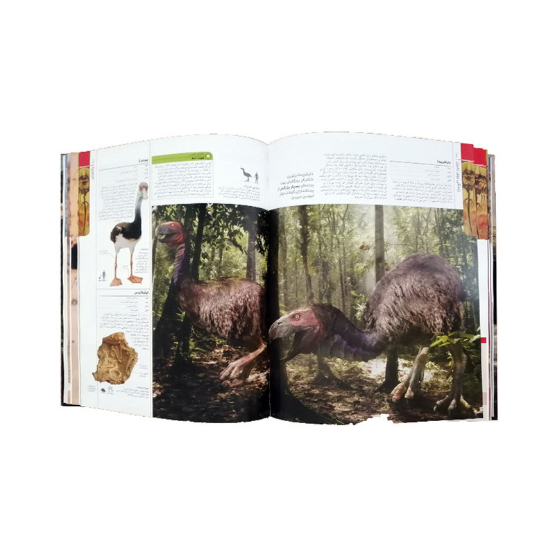 کتاب دایرة المعارف مصور دایناسورها و اسرار ماقبل تاریخ اثر جمعی از نویسندگان نشر سایان