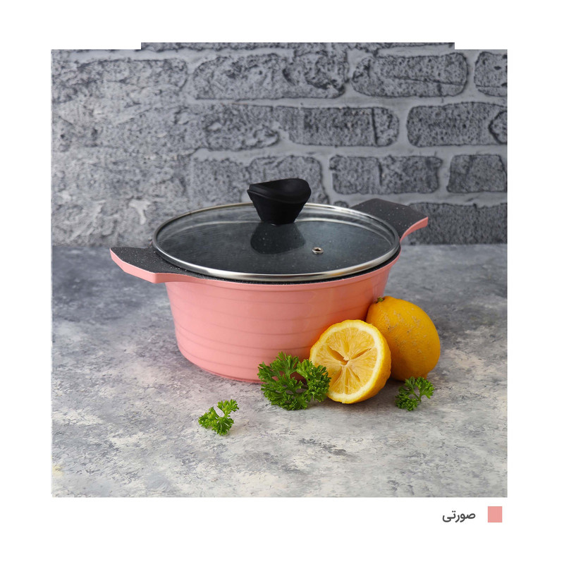 قابلمه دسینی مدل Rejina سایز 20