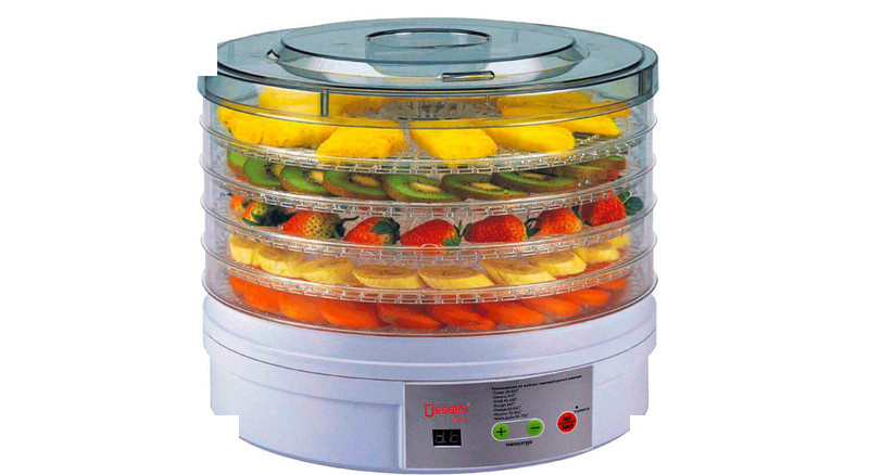 میوه و سبزی خشک کن دیجیتال دسینی مدل 2000