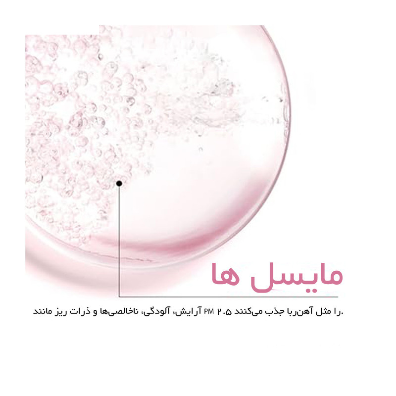 محلول پاک کننده آرایش صورت گارنیه مدل Skin Naturals حجم 400 میلی لیتر محلول پاک کننده آرایش صورت گارنیه مدل Skin Naturals حجم 400 میلی لیتر