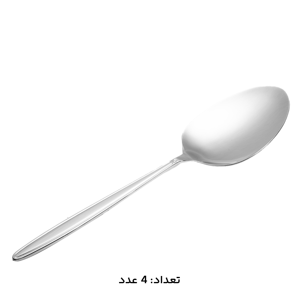سرویس قاشق چنگال ام جی اس 147 پارچه کد 1015S سرویس قاشق چنگال ام جی اس 147 پارچه کد 1015S