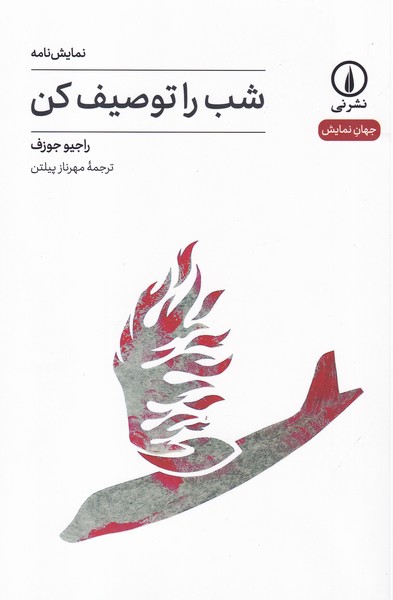کتاب شب را توصیف کن نشر نی
