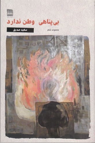 کتاب بی‌پناهی وطن ندارد نشر فرهنگ ایلیا