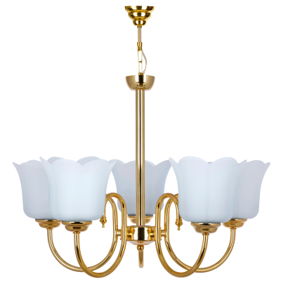 لوستر 5 شعله چشمه نور کد 856.5