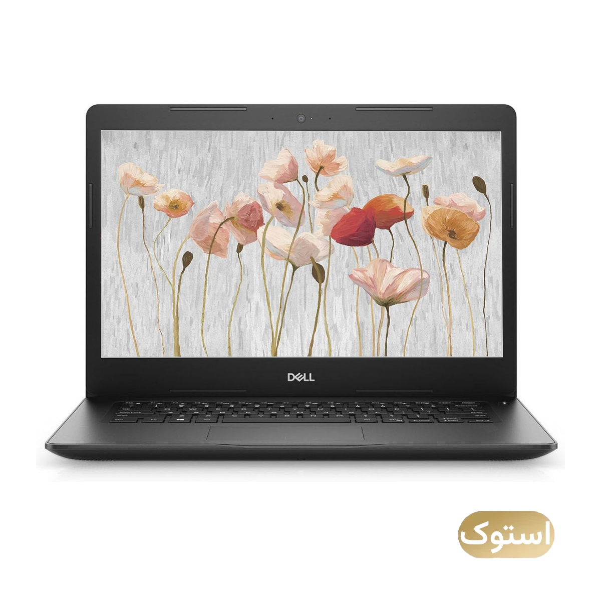 لپ تاپ استوک Open Box - دل 14 اینچی مدل HHKLKR2 3490 i5 8250U 8GB 256GB - مشکی
