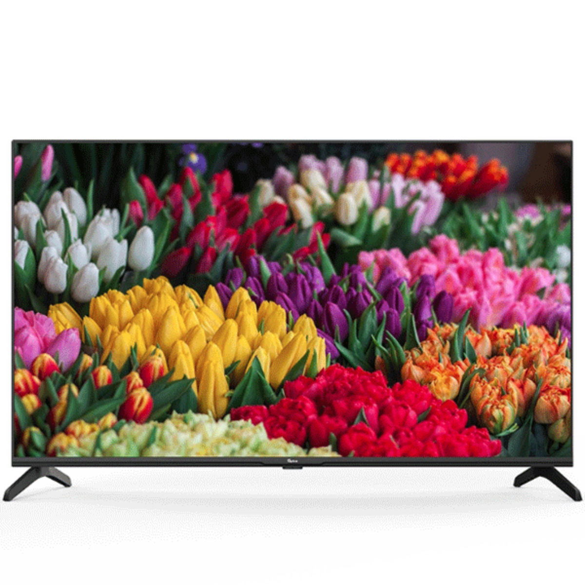  تلویزیون ال ای دی جی پلاس مدل GTV-40SH638NP سایز 40 اینچ-small-image