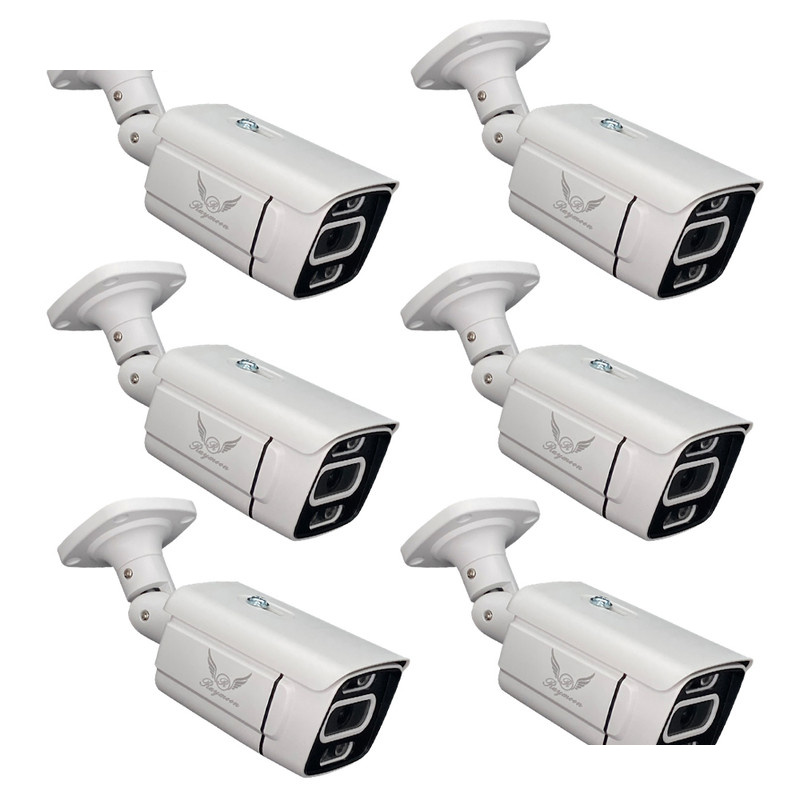 دوربین مداربسته تحت شبکه رایمون مدل پنج مگاپیکسل کد 8302-POE بسته شش عددی