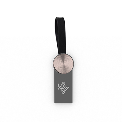 فلش مموری آی کیو مدل Leather IQ307 ظرفیت 32 گیگابایت